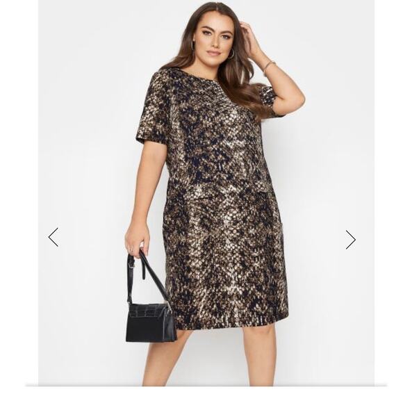 New Curve Brown Snake Print Tunic Dress - Picture 7 of 7